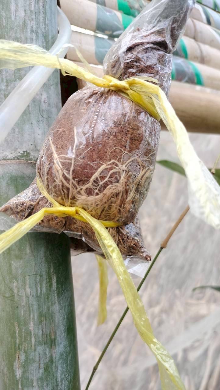 title - หัวหน้าผู้ตรวจราชการ ส.ป.ก. (เขต 3,15 และ 16) ประชุมตรวจติดตามความก้าวหน้าการดำเนินงานตามแผนงานตรวจราชการ ประจําปีงบประมาณ 2569 รอบที่ 1 ณ จังหวัดสุพรรณบุรี